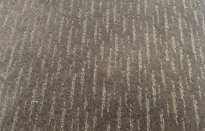 Carpet